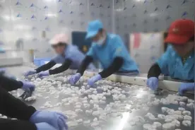315晚会曝光保水虾仁：部分商家超量添加保水剂增重 1斤虾仁7两冰视频封面