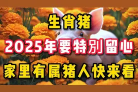 生肖猪,2025年要特别留心!家里有属猪人要当心视频封面