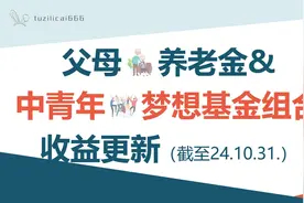 父母养老组合和中青年梦想基金组合业绩更新（截至24.10.31）视频封面