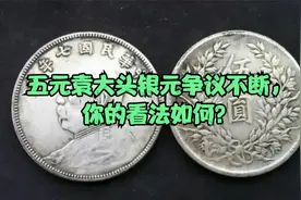 五元袁大头银元争议不断，你的看法如何？视频封面