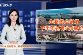 生猪供应暴涨8000万！今年出栏将超7.5亿头？下半年猪价更差视频封面