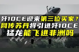 歼10CE迎来第三位买家？网传苏丹将引进歼10CE，猛龙能飞进非洲吗视频封面