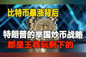 比特币暴涨背后：特朗普的举国炒币战略，都是王莽玩剩下的ff视频封面