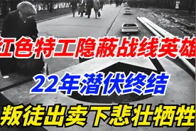 红色特工隐蔽战线英雄，22年潜伏终结，叛徒出卖下悲壮牺牲视频封面