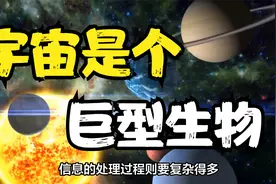 宇宙是一个庞大的生物？人类就生活在内部，这个世界也许并不真实视频封面