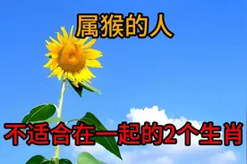 属猴的人，一生相克的2个人，最不适合在一起的2个生肖视频封面
