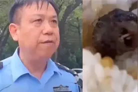 “指鼠为鸭”的局长疑似升职？当地：没有升职，仍是普通工作人员视频封面