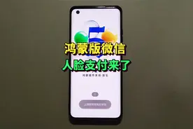 鸿蒙版微信再度上新，指纹支付人脸支付终于来了！