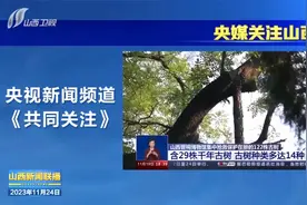 央媒关注山西“古树抢救保护”工作视频封面