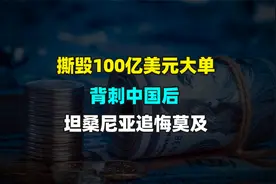 撕毁100亿美元大单，背刺中国后，坦桑尼亚追悔莫及视频封面