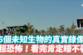 6个未知生物的真实影像，请谨慎观看视频封面
