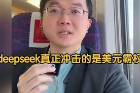 所有分析deepseek的博主！这个博主的观点最正确视频封面