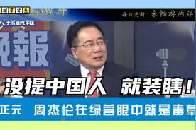 蔡正元：周杰伦在绿营眼中就是“毒草”！只是当没看见！视频封面