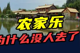 倒闭80000家！从一座难求到无人问津，农家乐只用了5年视频封面