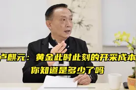 卢麒元：黄金此时此刻的开采成本，你知道是多少了吗视频封面