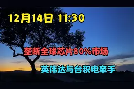 12月14日 11:30 垄断全球芯片80%市场，英伟达与台积电牵手视频封面
