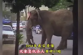 1994年真实录像，被虐待21年的大象复仇，杀13人。视频封面