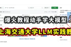 上海交通大学LLM实践教程:2024年春季新出动手学大模型系列教程！视频封面