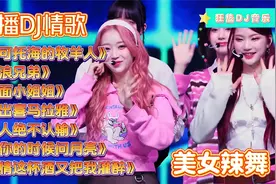 劲爆热播DJ情歌《可可托海的牧羊人》《流浪兄弟》《对面小姐姐》视频封面