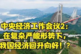 中央经济工作会议2：在复杂严峻形势下，中国经济回升向好！？视频封面