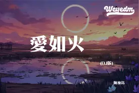 陈栋钰 - 爱如火 (DJ版)「心在跳是爱情如烈火 你在笑疯狂的人是视频封面