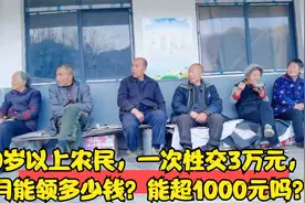 60岁以上农民，一次性交3万元，每月能领多少钱？能超1000元吗？视频封面