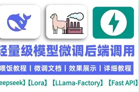 DeepSeekR1大模型轻量级微调，可视化训练过程环境配置+后端调用视频封面