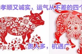 既孝顺又诚实，运气从不差的四个生肖，贵人多，机遇广视频封面