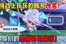 蛋仔派对：挑战上灰灰的账号改名！你们的黑猪哥哥来啦！
