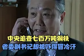 国产剧：中央追查七百万吨钢铁问题，副书记却吓得冒冷汗，精彩了视频封面