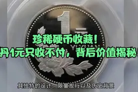 珍稀硬币收藏！牡丹1元只收不付，背后价值揭秘！视频封面