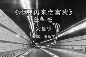 《不要再来伤害我》张振宇原唱完整版，失恋神曲，听后豁然开朗！视频封面