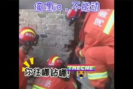 盘点消防员遇到的尴尬救援场面视频封面
