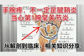 手腕疼，不一定是腱鞘炎，当心第1腕掌关节炎，从解剖到临床视频封面