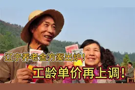 辽宁养老金方案出炉！工龄单价再上调，还有哪些变化？一起来看！视频封面