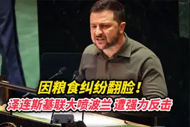 因粮食纠纷翻脸！泽连斯基联大喷波兰，遭强力反击视频封面