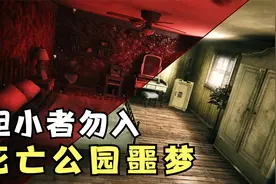 死亡公园2：为了救妹妹，我在噩梦里找到的打开门的钥匙视频封面