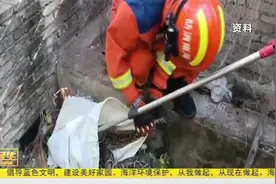 气温升高蛇出没 三亚消防支招防范视频封面