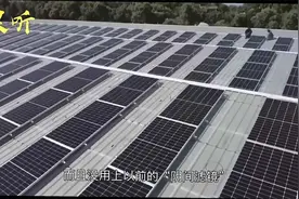 川普刚断“狗粮”，BBC画风突变：还是中国制造成功！视频封面