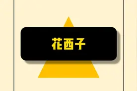 花西子是什么梗视频封面