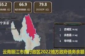 平均42亿，云南丽江各行政区地方债务余额，宁蒗65亿，玉龙21亿视频封面