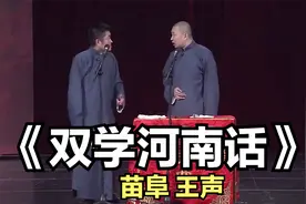 爆笑相声：《双学河南话》苗阜 王声视频封面
