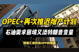 OPEC+再次推迟增产计划，石油需求困境又添特朗普变量视频封面