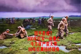 凶手是谁？300名红军一夜暴亡，毛主席严查无果，50年后真凶现身视频封面