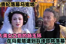 “千古一帝李隆基”带着杨玉环逃亡到马嵬坡 杨贵妃命丧马嵬坡视频封面