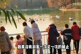 连夜上热搜惹怒全网的“云南昆明事件”，后续处理解愤视频封面