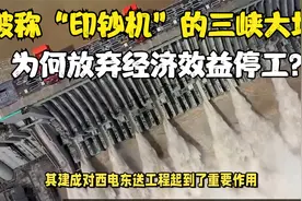 日赚一亿，被称“印钞机”的三峡大坝，为何放弃经济效益停工？视频封面