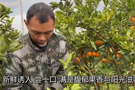 中国公认云南省最宜居的七个县城，有你的家乡吗？视频封面