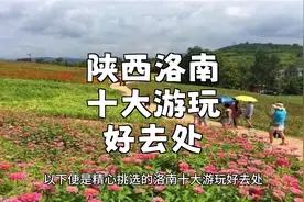 陕西洛南旅游攻略：揭秘十大热门景点，必游必看视频封面