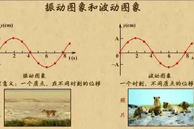 《选修1》机械波视频封面